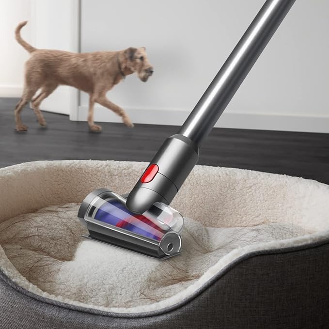 Dyson V15 Detect™ Absolute Cordless Vacuum